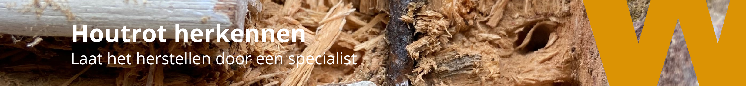Houtrot herkennen