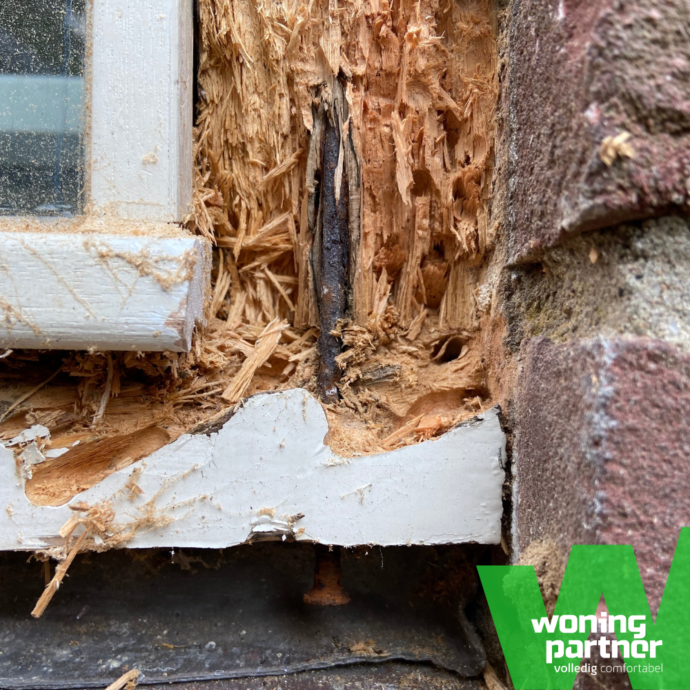 Houtrot herkenen en laten herstellen