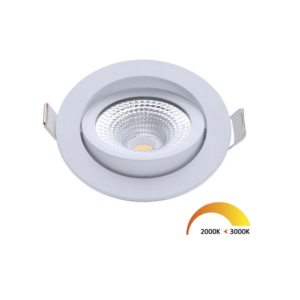 ED-10022 Led inbouwspot kleine inbouwdiepte IP54 dim to warm, rond, wit, 75mm