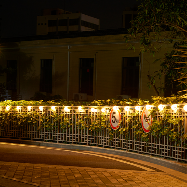 lichtsnoer bollen 5.5m