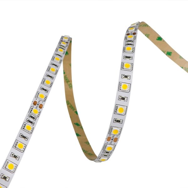 IP22-24V 5 METER 5050/60 10MM-4173